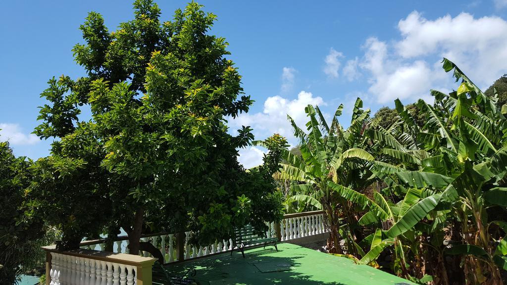 Hibiscus House Seychelles Self Catering Appartement Victoria Buitenkant foto
