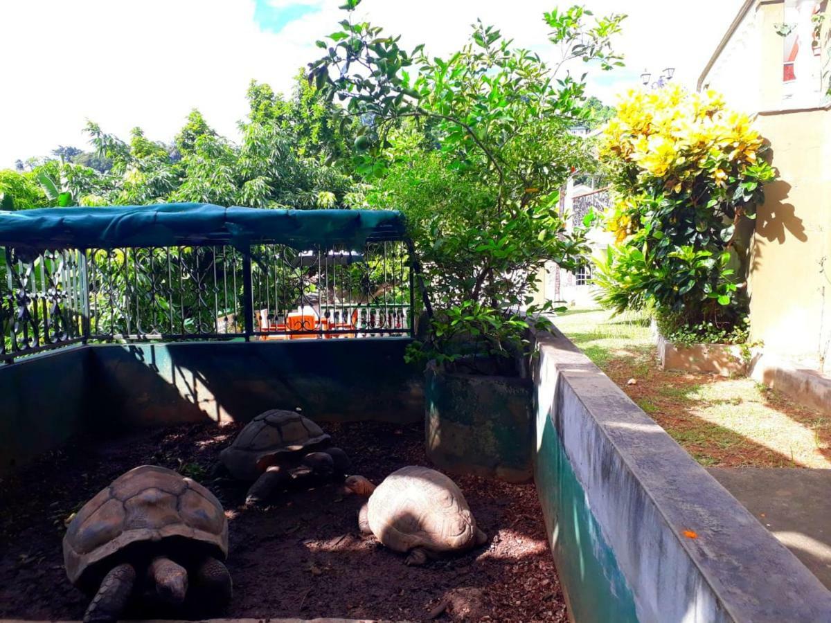 Hibiscus House Seychelles Self Catering Appartement Victoria Buitenkant foto
